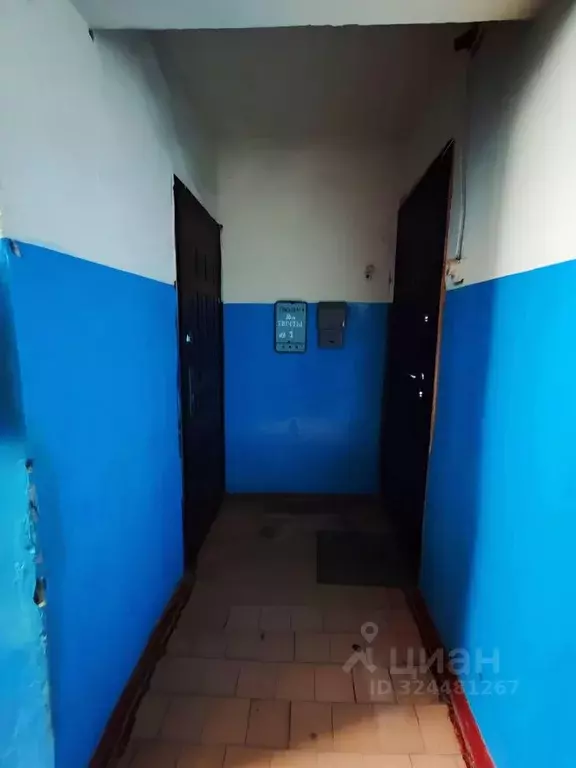 2-к кв. Владимирская область, Киржачский муниципальный округ, д. ... - Фото 2