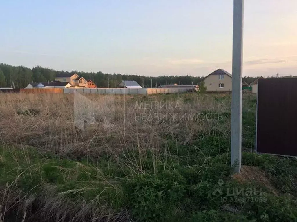 Участок в Тюменская область, Ярковский район, д. Новокурская  (20.0 ... - Фото 1