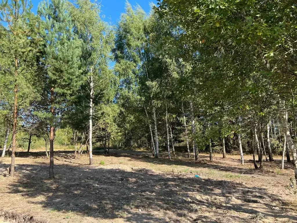 Участок в Московская область, Подольск городской округ, Пузиково кп 77 ... - Фото 1