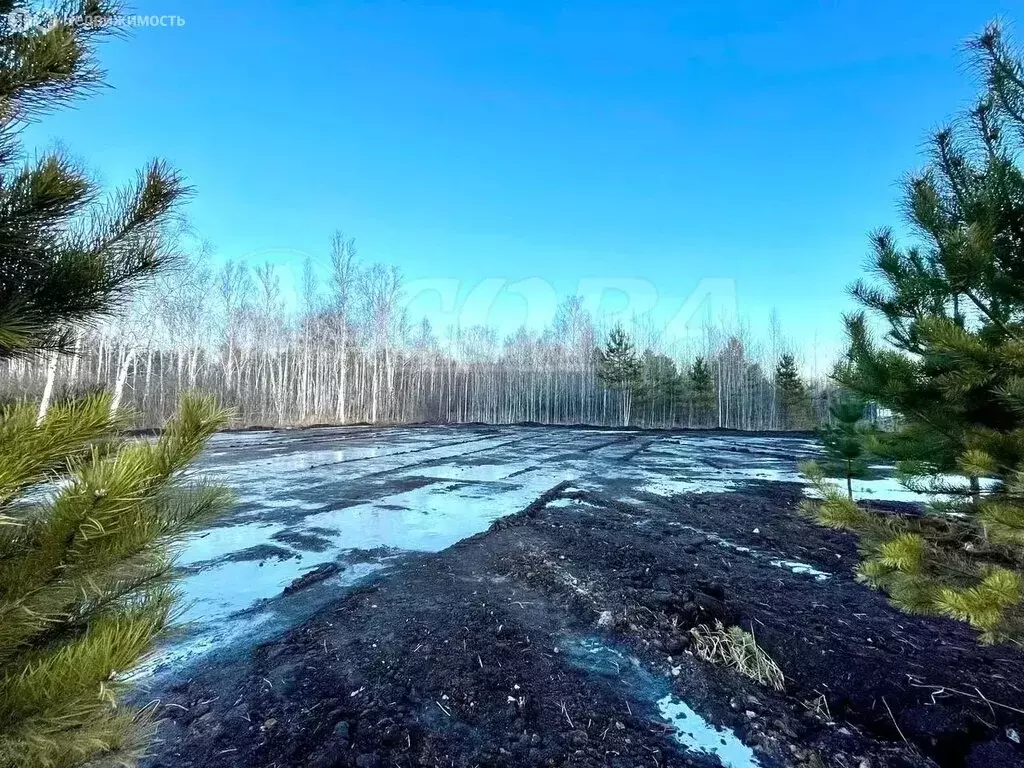 Участок в Тюменский муниципальный округ, СНТ Подъём (26.8 м) - Фото 0