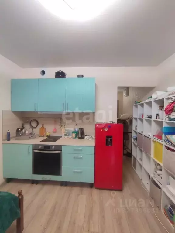 Студия Воронежская область, Новоусманский район, пос. Отрадное ул. ... - Фото 2