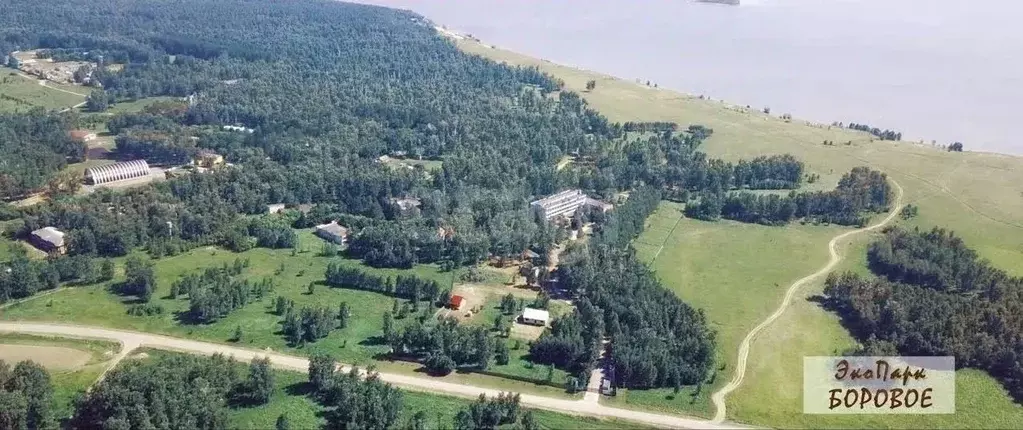 Участок в Новосибирская область, Новосибирский район, с. Боровое  ... - Фото 1