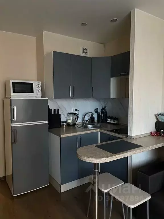 Студия Санкт-Петербург ул. Шкапина, 9-11 (26.0 м) - Фото 1