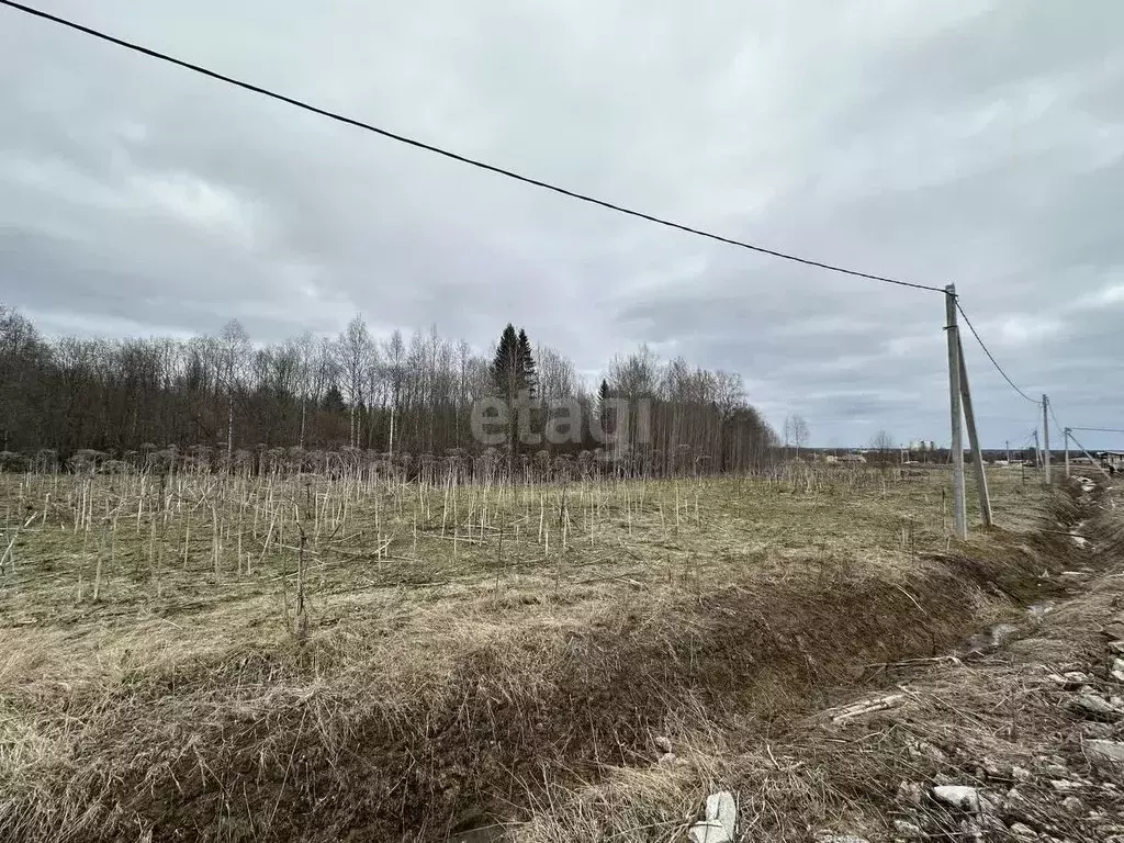 Участок в Коми, Сыктывдинский район, с. Выльгорт, пос. Снегири  (12.4 ... - Фото 0