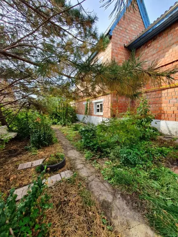 Дом в Омская область, Калачинск ул. Папко, 1 (346 м) - Фото 2