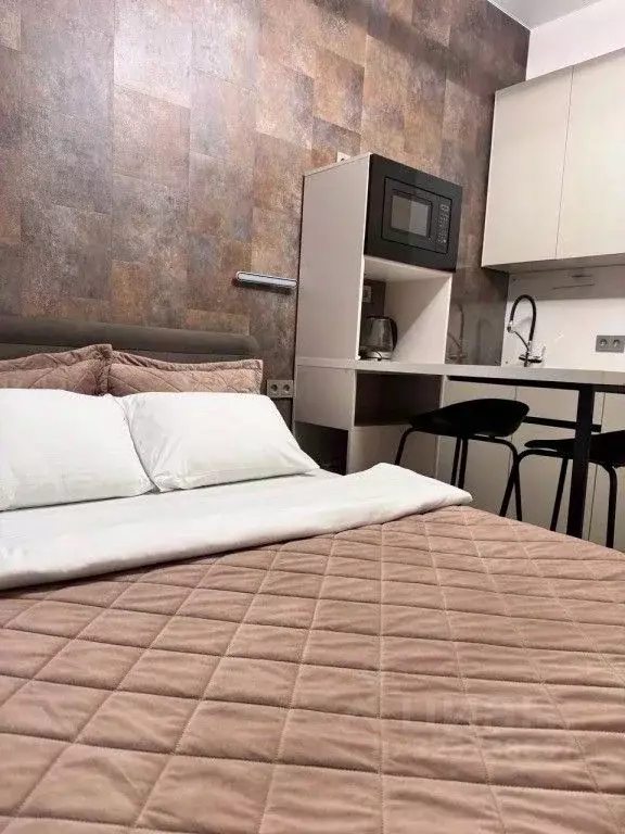 1-к кв. Санкт-Петербург Большой Казачий пер., 10 (20.0 м) - Фото 1