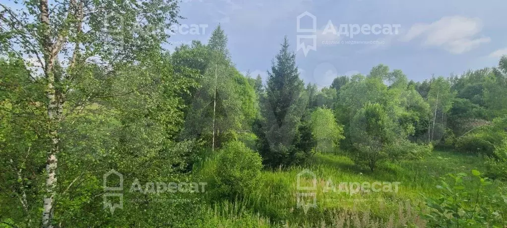 Участок 1,98 га (СНТ, ДНП) - Фото 0