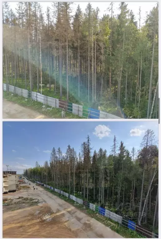 1-к кв. Ленинградская область, Сертолово Всеволожский район, Новая ... - Фото 1