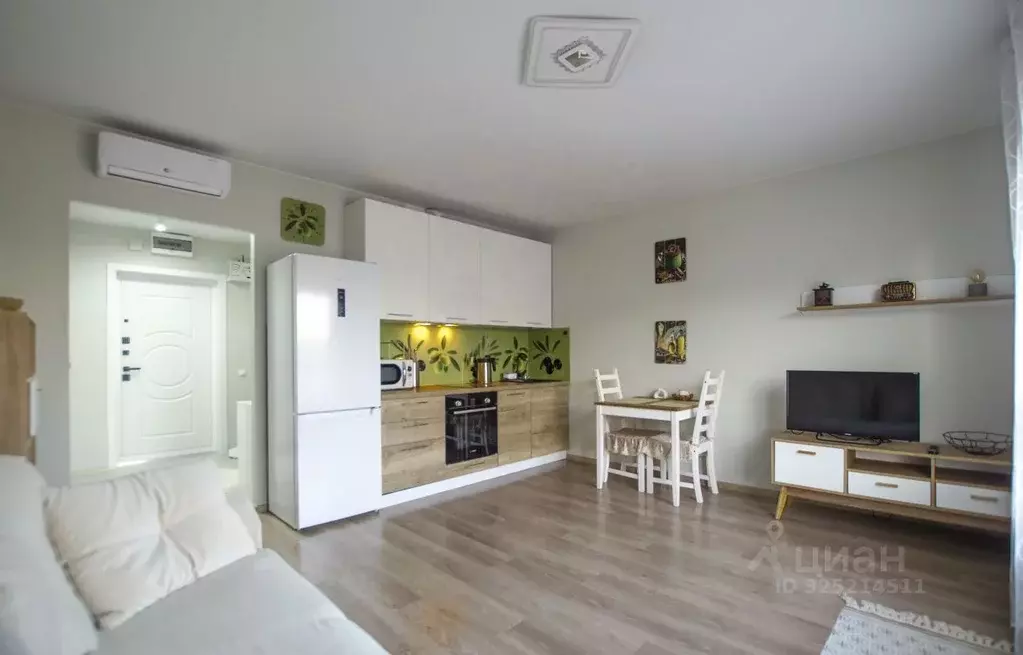 Студия Московская область, Красногорск городской округ, пос. ... - Фото 1