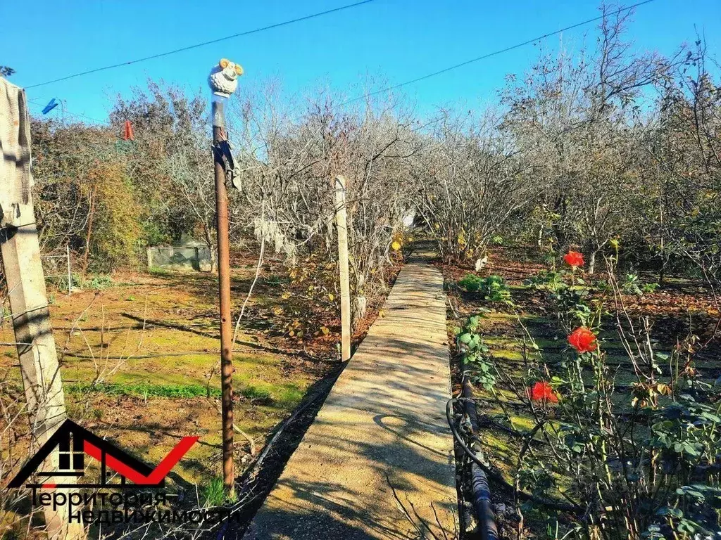 Участок в Севастополь СНТ Зеленстрой ТСН,  (8.0 сот.) - Фото 2