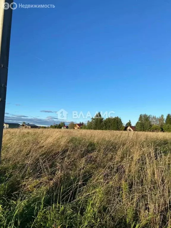 Участок в Ленинградская область, Гатчинский муниципальный округ, ... - Фото 2