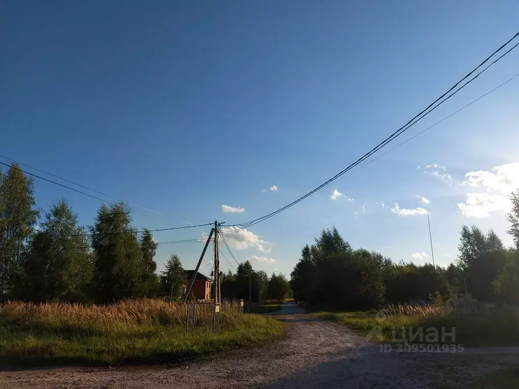 Участок в Московская область, Луховицы ул. Соловьиная (12.0 сот.) - Фото 0