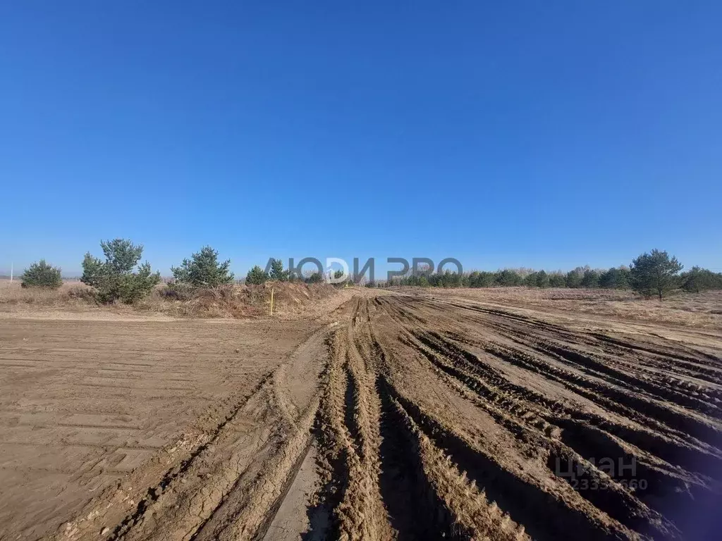 Участок в Алтайский край, Первомайский район, с. Фирсово Палитра жилой ... - Фото 2