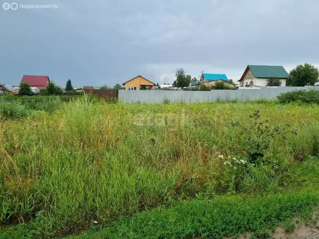 Участок в Искитимский район, Совхозный сельсовет, село Лебедёвка (15 ... - Фото 0