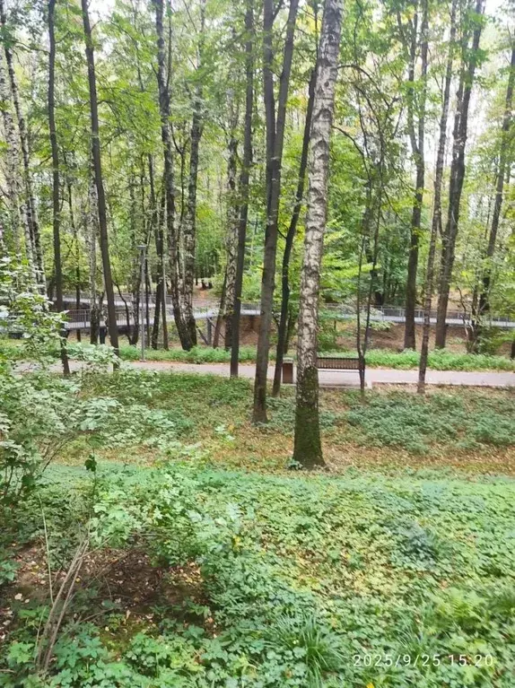 1-к кв. Москва ул. Красного Маяка, 11К4 (32.0 м) - Фото 1