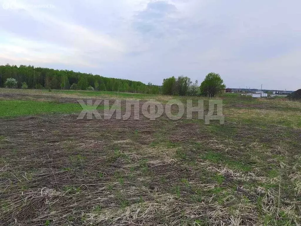 Участок в деревня Тиганово, Зареченская улица (25 м) - Фото 0