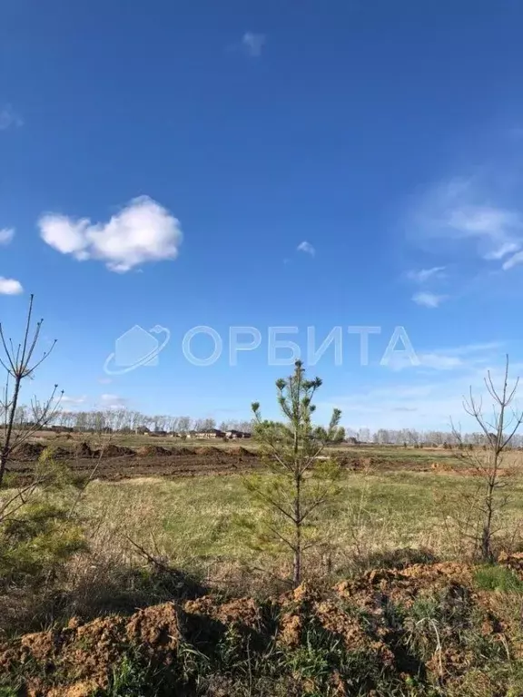 Участок в Тюменская область, Тюменский муниципальный округ, с. ... - Фото 2