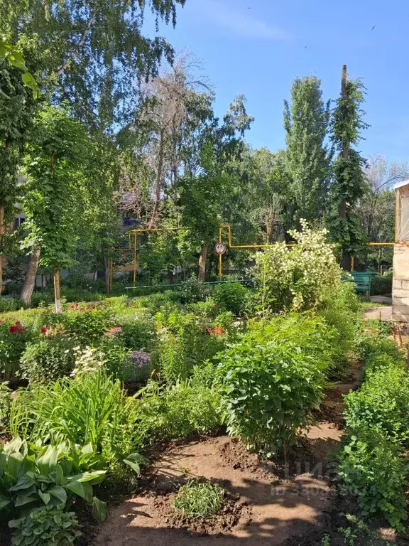3-к кв. Самарская область, Самара просп. Карла Маркса, 288 (56.0 м) - Фото 1