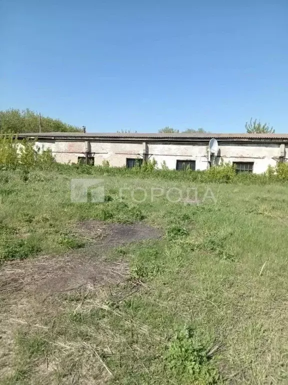 Помещение свободного назначения в Алтайский край, Троицкий район, с. ... - Фото 1