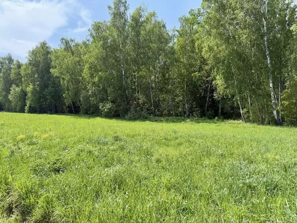 Участок в Московская область, Одинцовский городской округ, с. ... - Фото 2