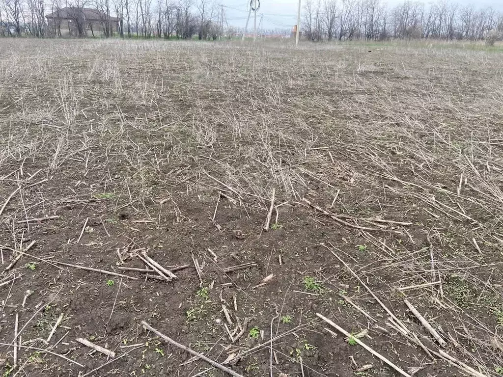 Участок в Ростовская область, Мясниковский район, с. Большие Салы ул. ... - Фото 1