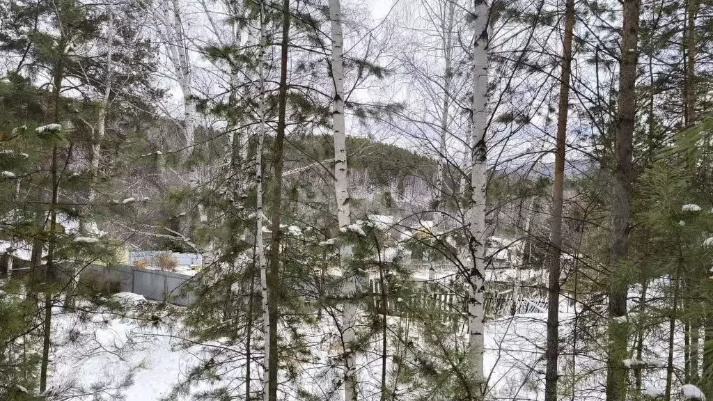 Участок 8 сот. (СНТ, ДНП) - Фото 1
