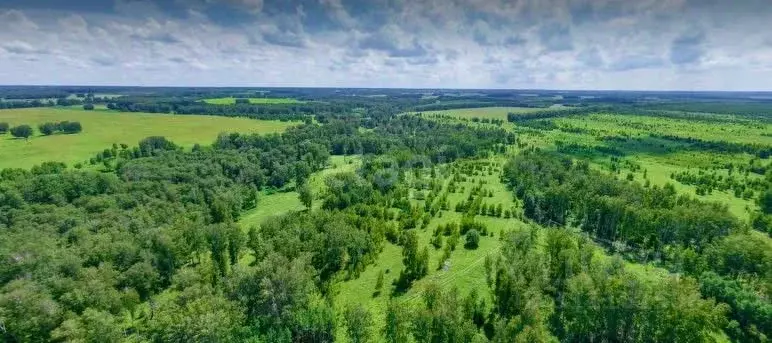 Участок в Новосибирская область, Новосибирский район, Кубовинский ... - Фото 1