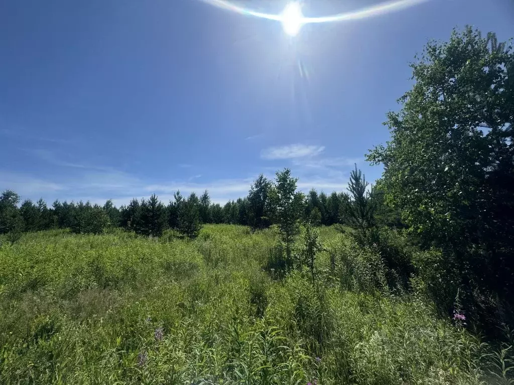 Участок в Свердловская область, Горноуральский городской округ, с. ... - Фото 0