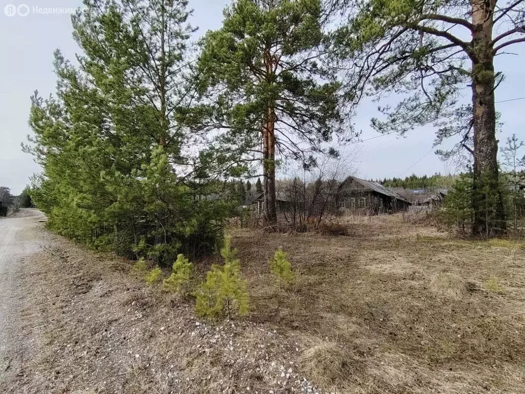 Участок в Нижнесергинский район, Дружининское городское поселение, ... - Фото 0