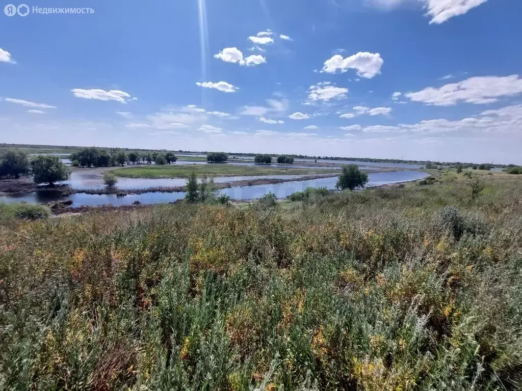 Участок в Марксовский район, Приволжское муниципальное образование, ... - Фото 2