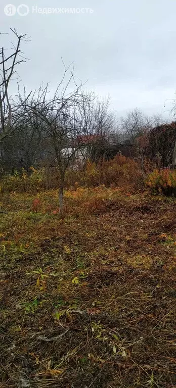 Дом в Тамбов (15 м) - Фото 2