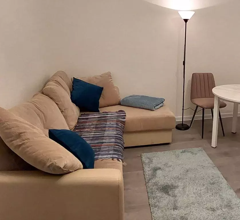 Студия Ленинградская область, Всеволожский район, пос. Бугры ул. ... - Фото 1