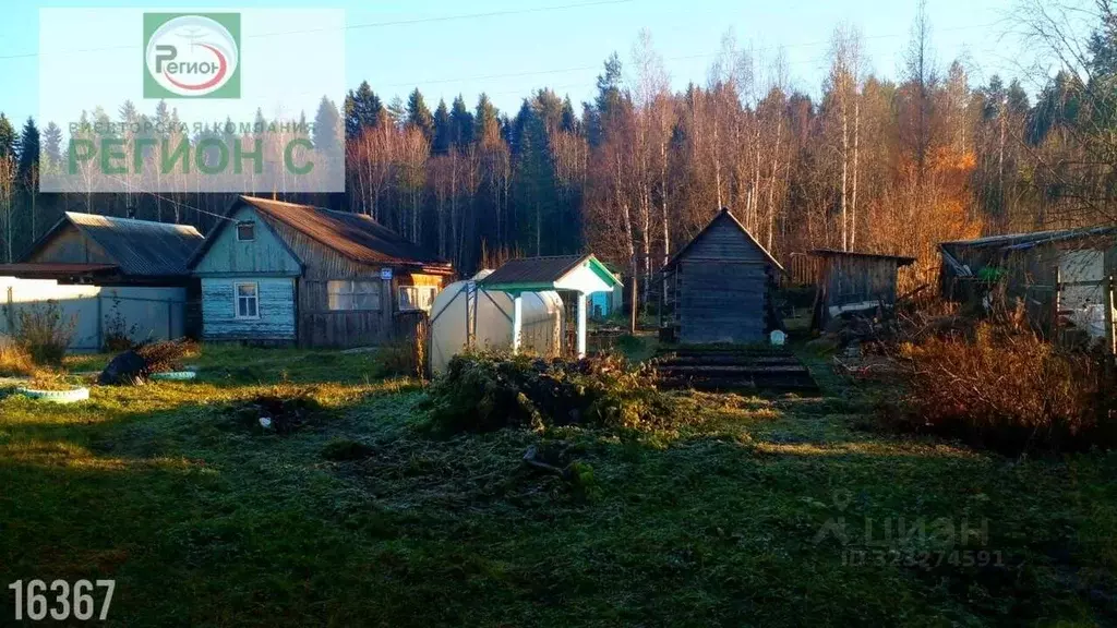 Дом в Архангельская область, Приморский муниципальный округ, Луч СНТ ... - Фото 2