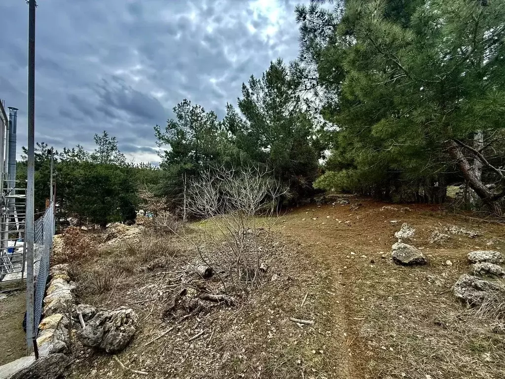 Участок в Севастополь пер. Дачный, 12 (9.0 сот.) - Фото 2