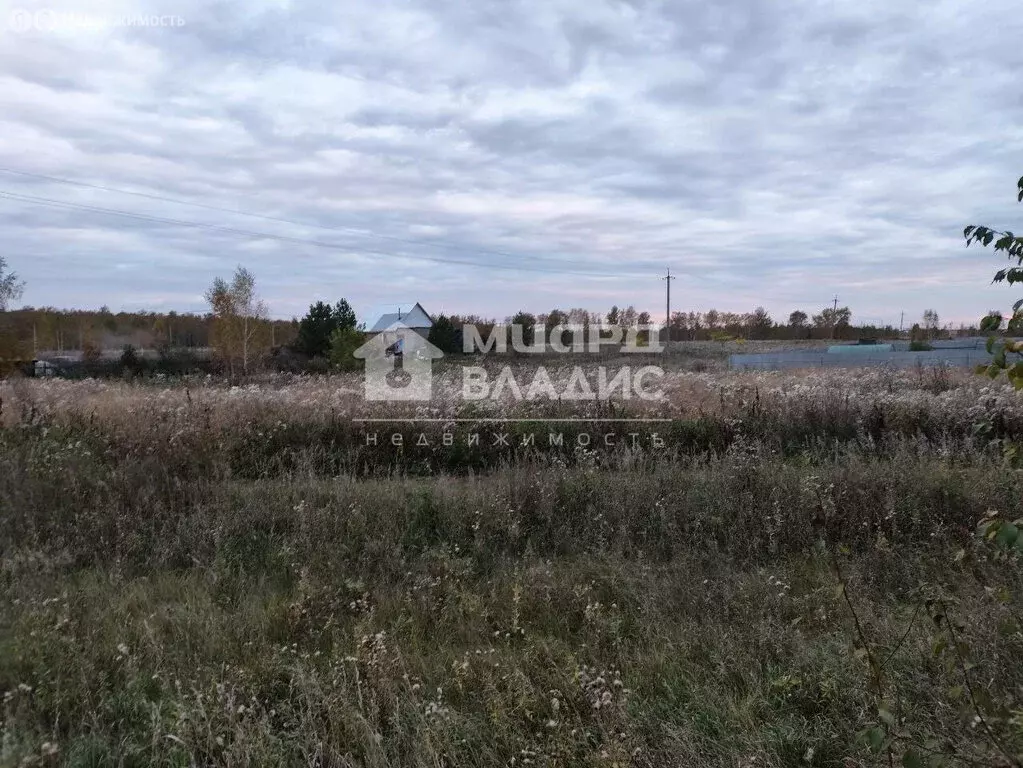 Участок в муниципальный округ Омский район, деревня Большекулачье, ... - Фото 1