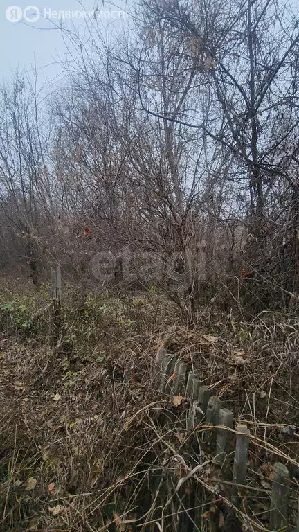 Участок в Латное, Солнечная улица (9.87 м) - Фото 2