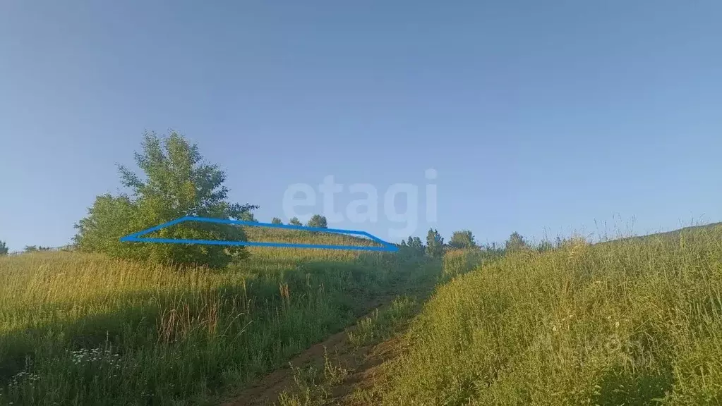 Участок в Алтай, Майминский район, с. Кызыл-Озек ул. Ануйская, 1 ... - Фото 1