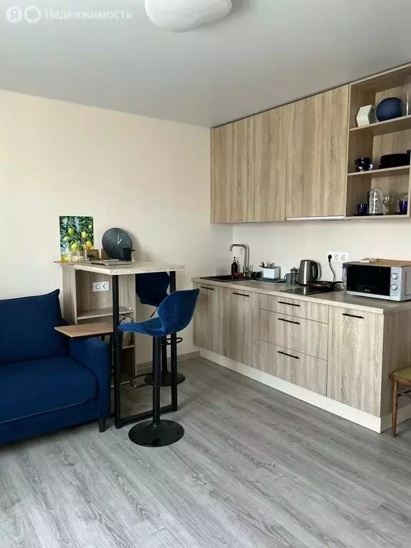 Квартира-студия: Санкт-Петербург, проспект Королёва, 64к1 (24.3 м) - Фото 1