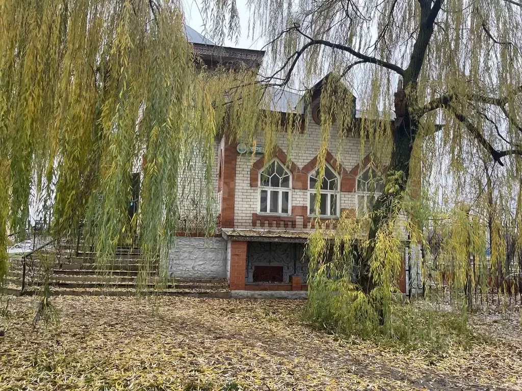 Помещение свободного назначения в Тамбовская область, Тамбов городской ... - Фото 1