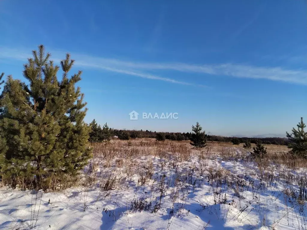 Участок в Владимирская область, Владимир д. Уварово,  (9.12 сот.) - Фото 0