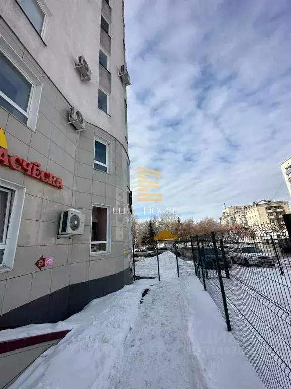 Помещение свободного назначения в Курганская область, Курган ул. ... - Фото 1