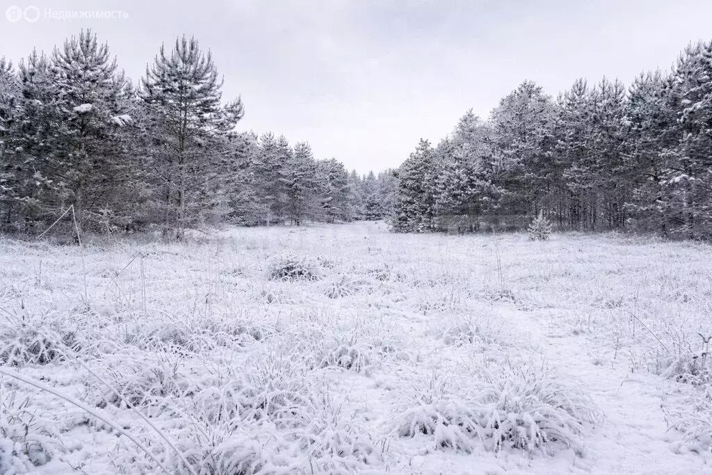 Участок в деревня Симбухово, Прудская улица (2 м) - Фото 1