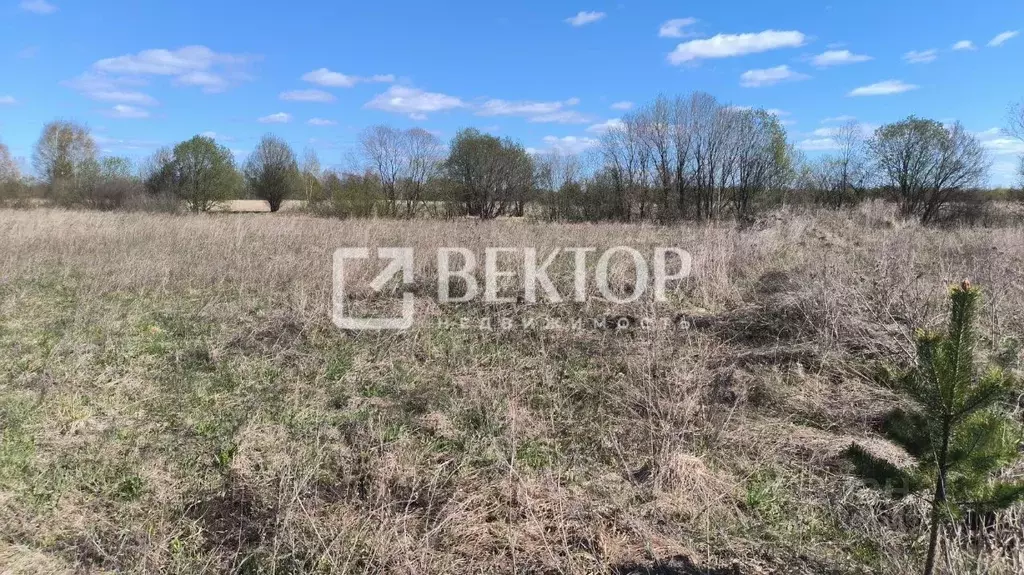 Участок в Костромская область, Кострома ул. Нижегородская, 32 (7.0 ... - Фото 1