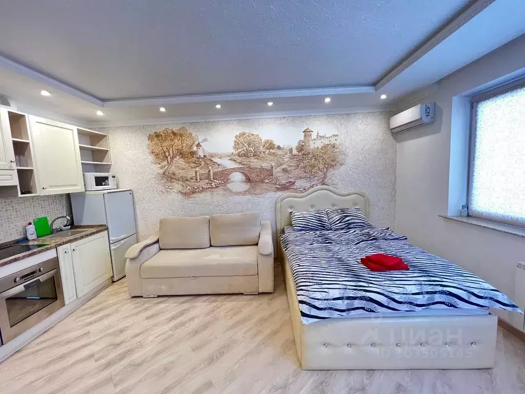 Студия Калужская область, Калуга Хрустальная ул., 44к3 (30.0 м) - Фото 2