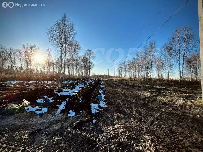 Участок в Нижнетавдинский район, дачный посёлок Сибирская Слобода (4 ... - Фото 1