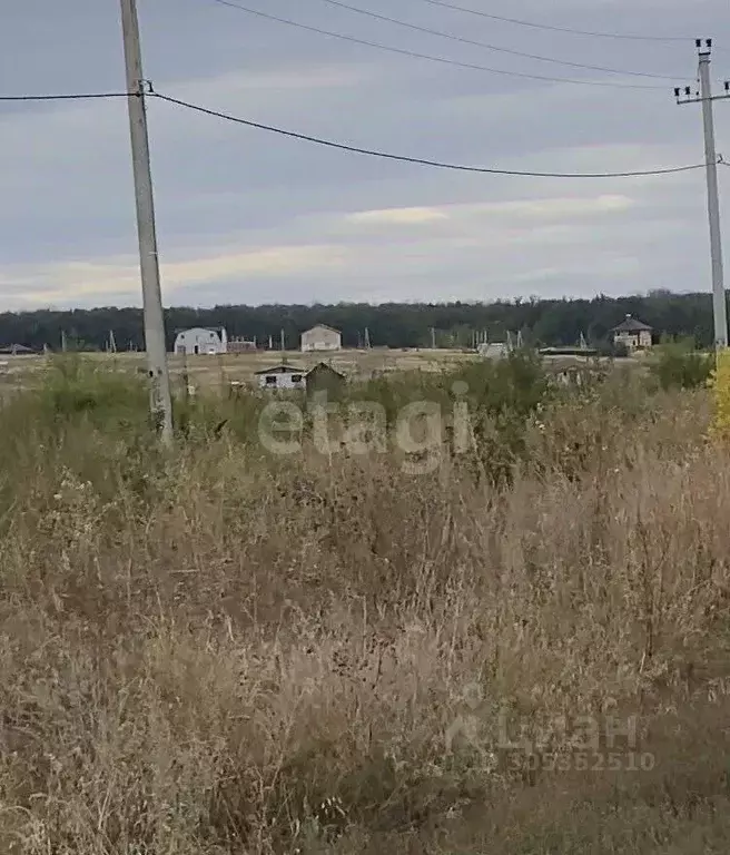 Участок в Воронежская область, Семилукский район, с. Девица ул. ... - Фото 1