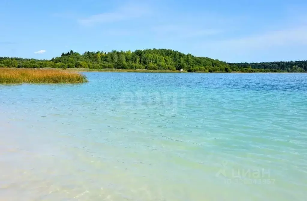 Дом в Ленинградская область, Волосовский район, Калитинское с/пос, д. ... - Фото 1