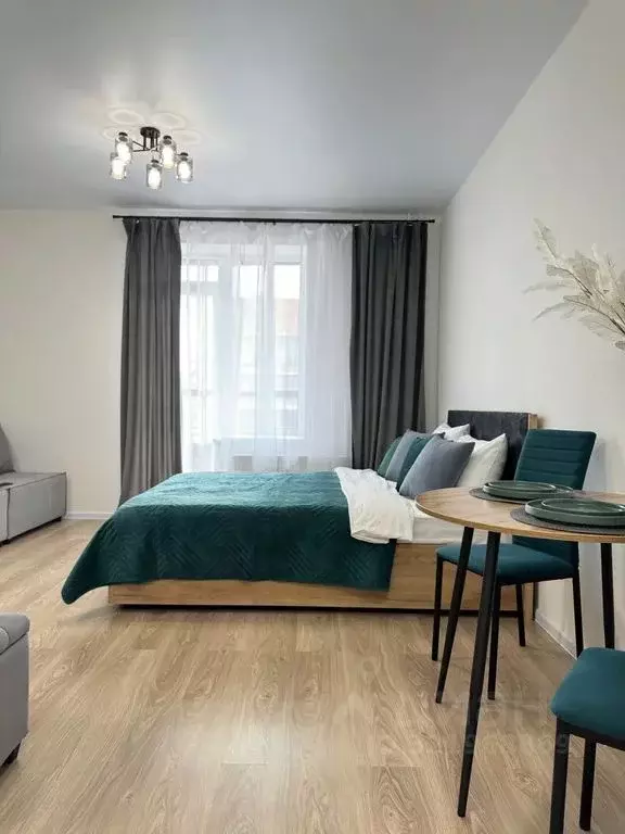 Студия Санкт-Петербург пос. Песочный, Садовая ул., 77 (22.0 м) - Фото 1