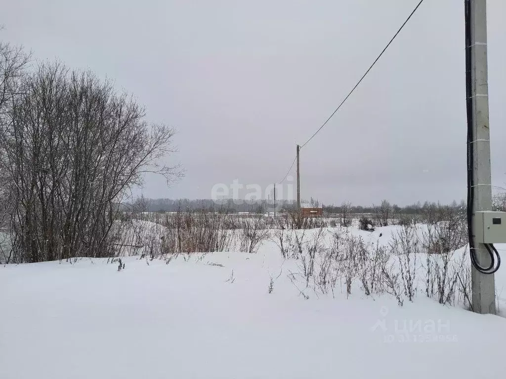 Участок в Ярославская область, Ярославский район, Кузнечихинское ... - Фото 1