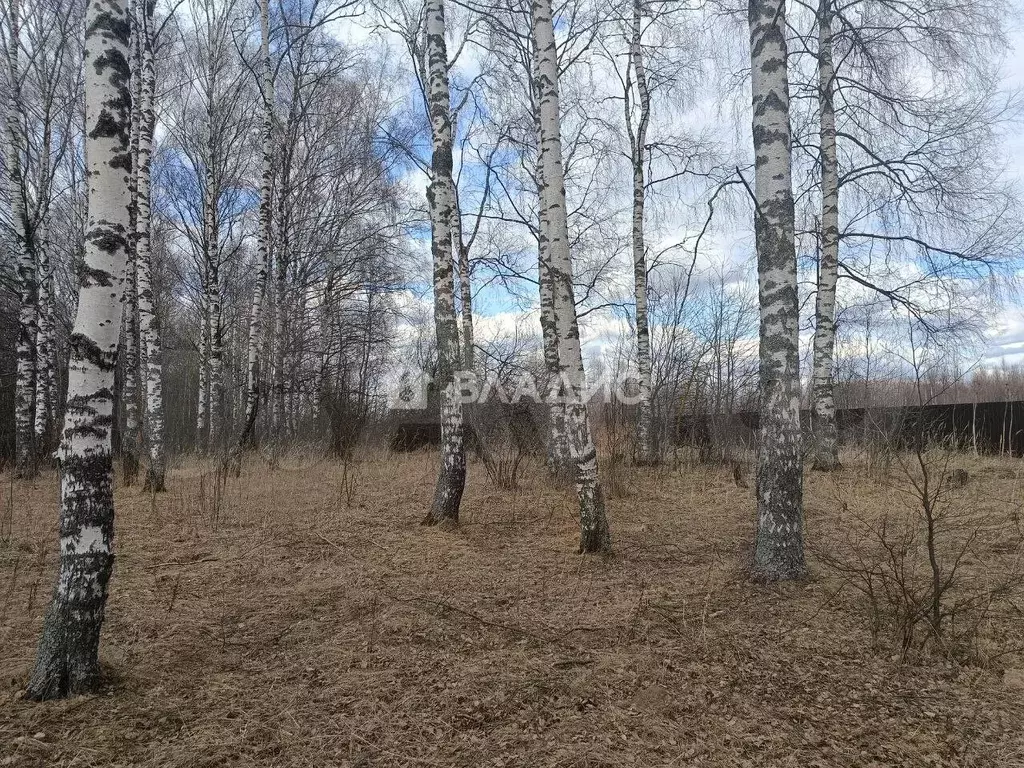 Участок 17 сот. (личное подсобное хозяйство (лпх)) - Фото 1